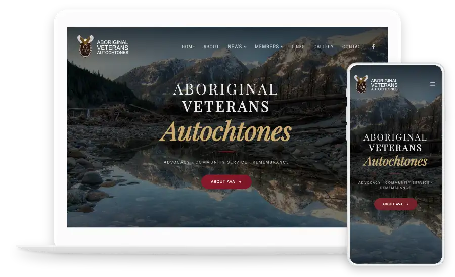 Professional website design showcase