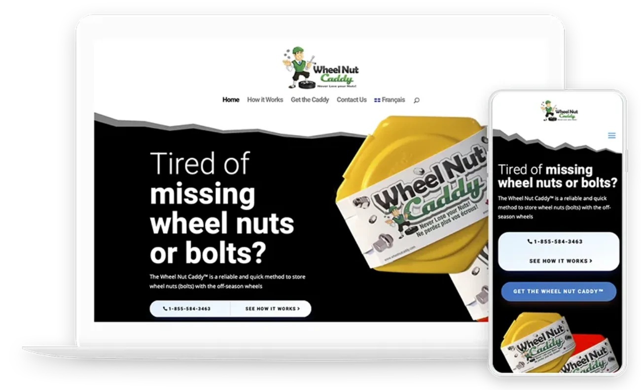 Professional website design showcase